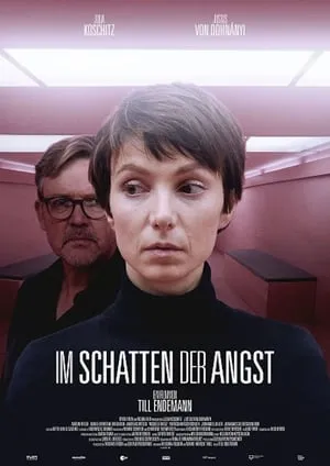 Im Schatten der Angst portada