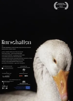 Kurschatten portada