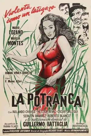 La potranca portada