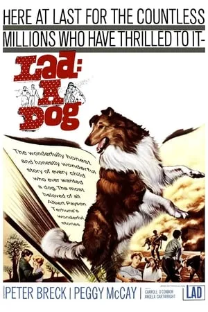 Lad: A Dog portada