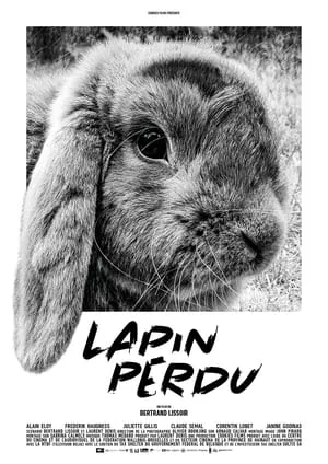 Lapin perdu portada