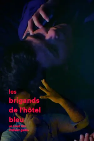 Les brigands de l'hôtel bleu portada