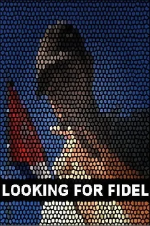 Looking For Fidel portada