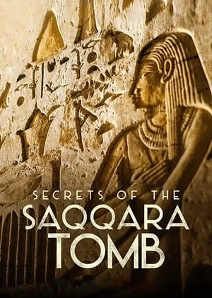 Los secretos de la tumba de Saqqara portada