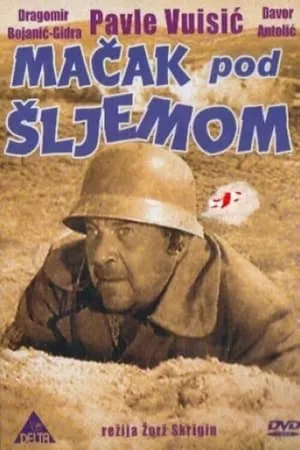 Mačak pod šljemom portada