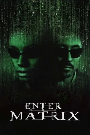 Making 'Enter the Matrix' portada