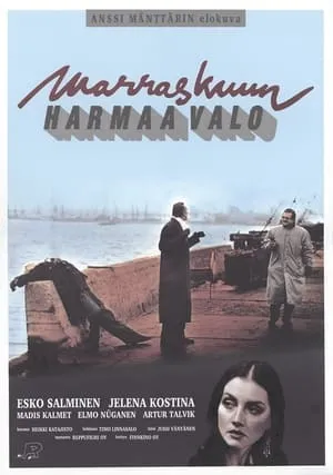 Marraskuun harmaa valo portada