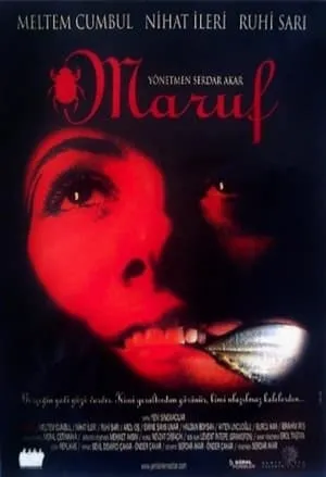 Maruf portada