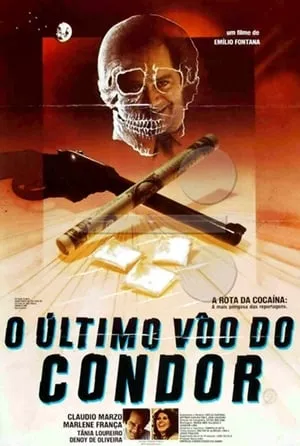 O Último Vôo do Condor portada