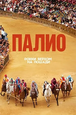 Palio portada