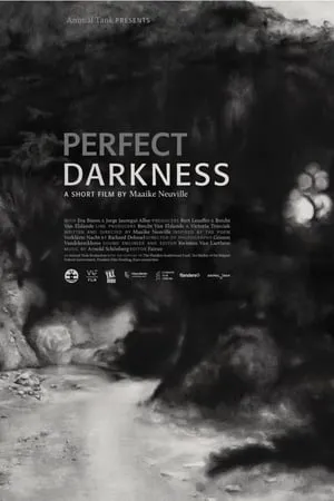 Perfect Darkness portada