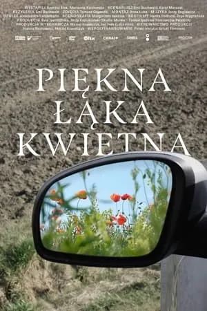 Piękna łąka kwietna portada