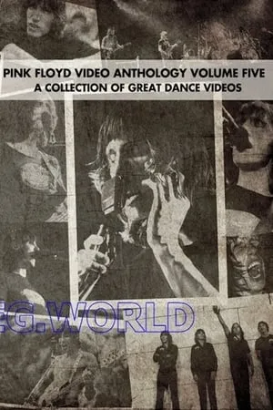 Pink Floyd:  Video Anthology Vol. 5 portada