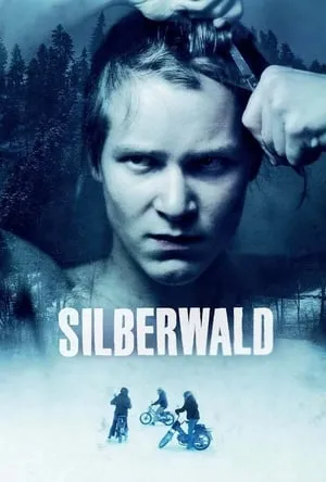 Silberwald portada