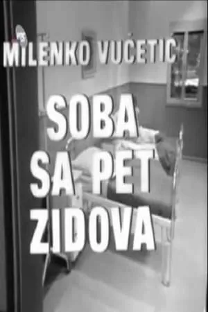 Soba sa pet zidova portada