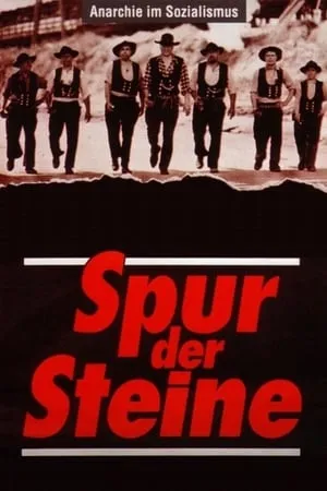 Spur der Steine portada