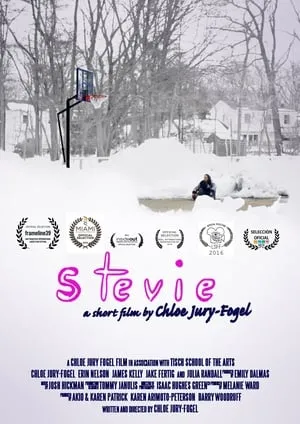 Stevie portada