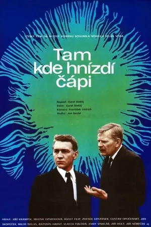 Tam kde hnízdí čápi portada