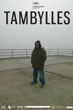 Tambylles portada