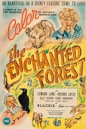 The Enchanted Forest portada