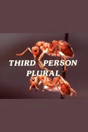 Third Person Plural portada