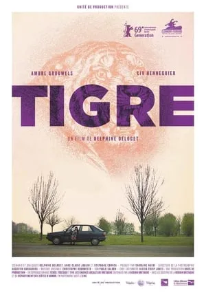 Tigre portada