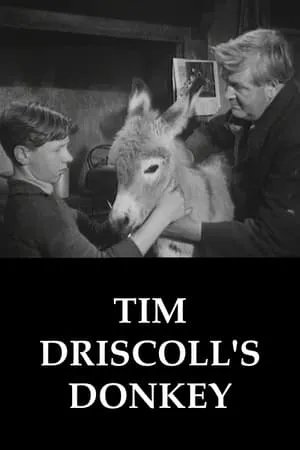 Tim Driscoll's Donkey portada