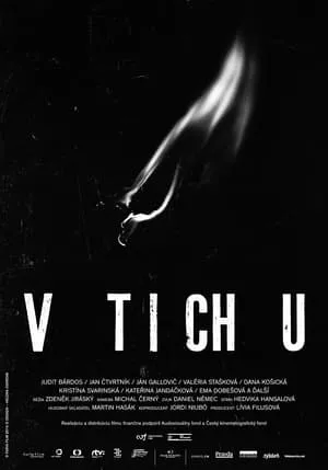 V tichu portada