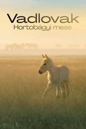 Vadlovak - Hortobágyi mese portada