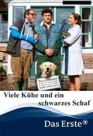 Viele Kühe und ein schwarzes Schaf portada