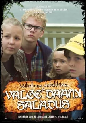 Väikelinna detektiivid ja valge daami saladus portada