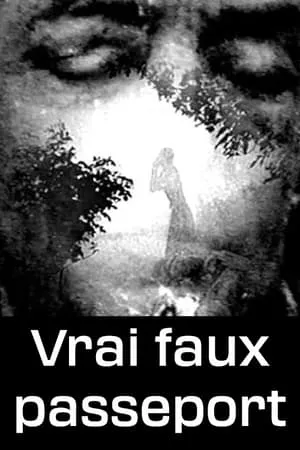 Vrai faux passeport portada