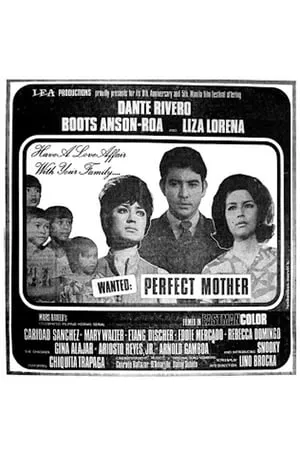 Wanted: Perfect Mother portada