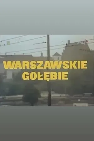 Warszawskie gołębie portada