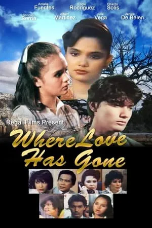 Where Love Has Gone portada