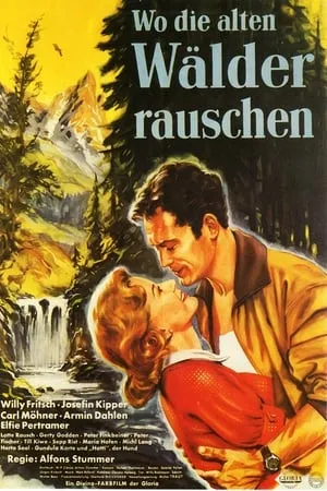 Wo die alten Wälder rauschen portada