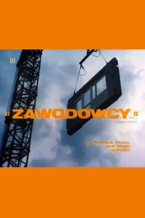 Zawodowcy portada