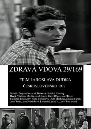 Zdravá vdova 29/169 portada