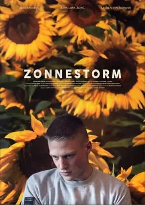 Zonnestorm portada