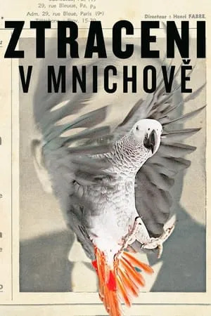 Ztraceni v Mnichově portada