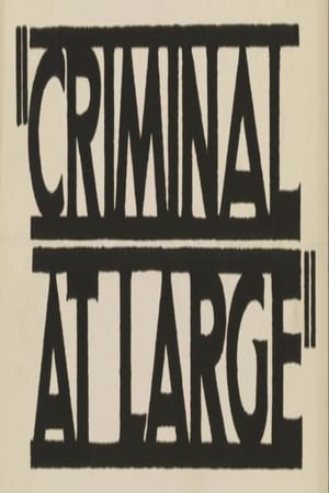 A Criminal at Large portada