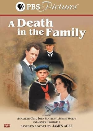 A Death in the Family portada