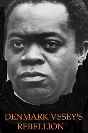 A House Divided: Denmark Vessey's Rebellion portada