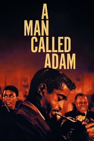 A Man Called Adam portada