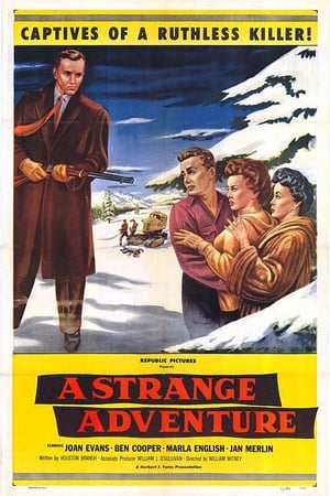 A Strange Adventure portada