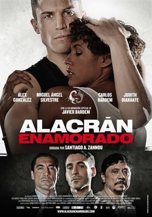 Alacrán enamorado portada