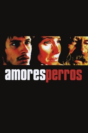 Amores perros portada