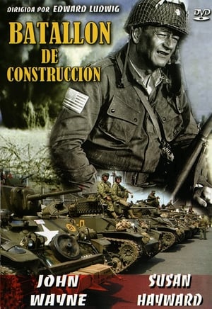 Batallón de construcción portada