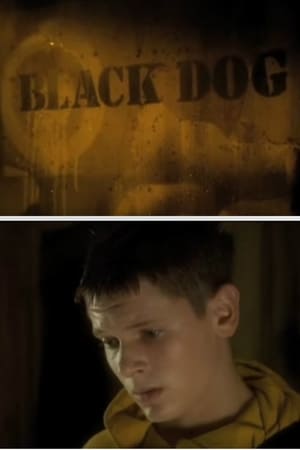 Black Dog portada