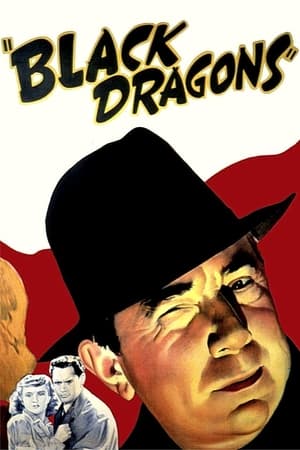 Black Dragons portada